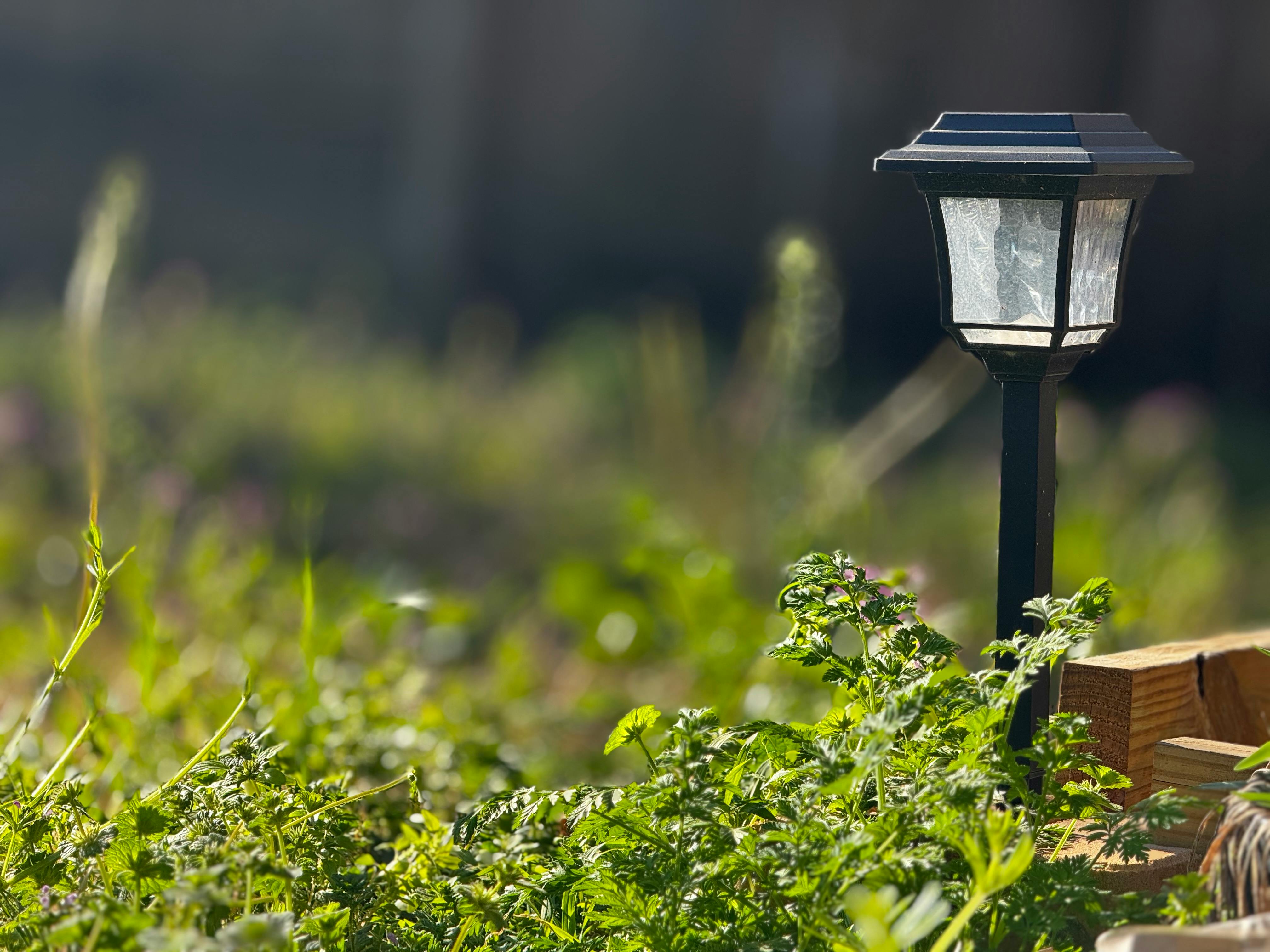 A solar light in a garden