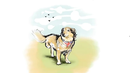 A drawing from the front cover of the book of a dog with three legs wearing a Union Jack bandana