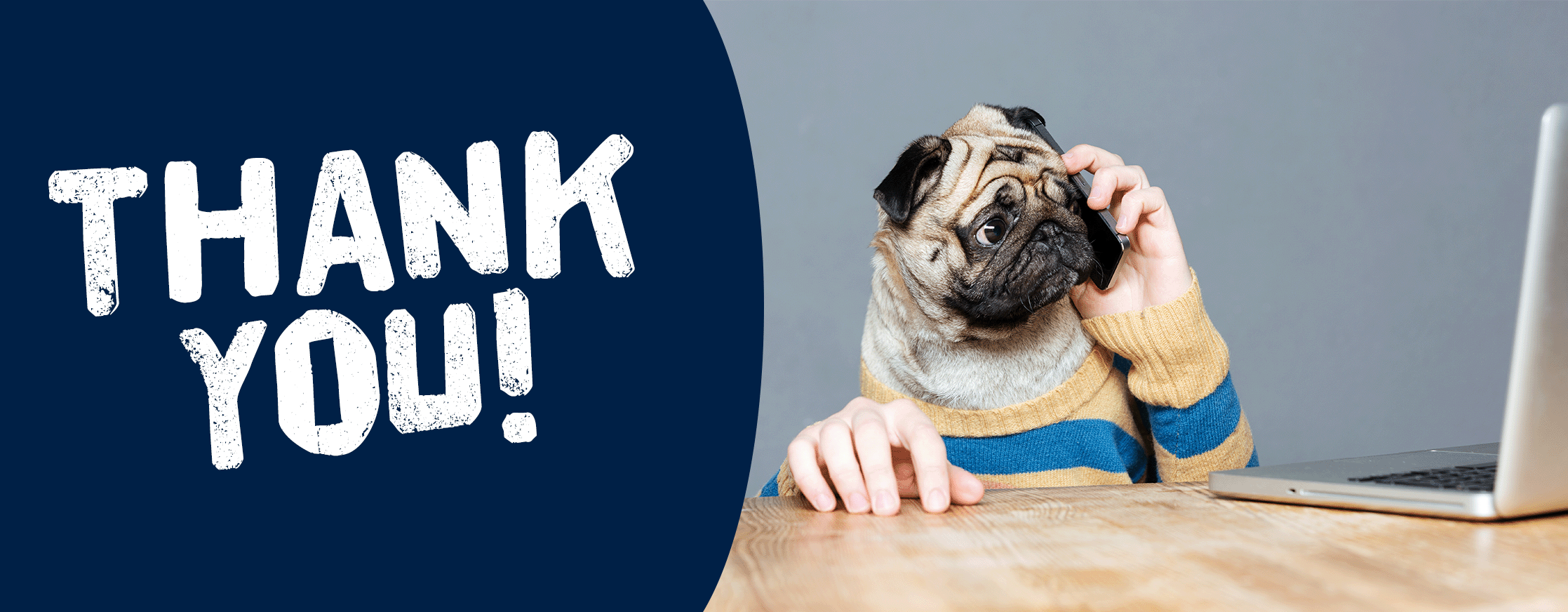 A photo of a dog using a phone and laptop 