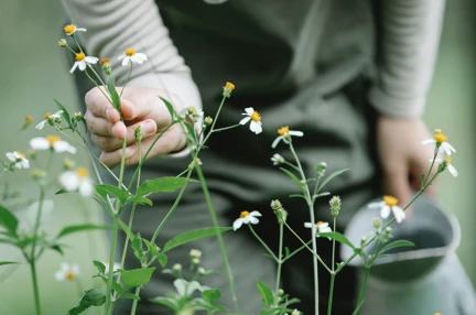 A person in overalls tending to some wildflowers